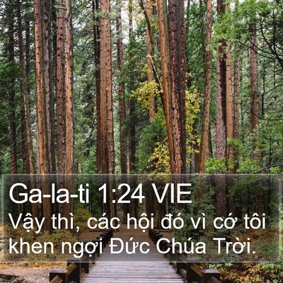 Ga-la-ti 1:24 VIE Bible Verse Image