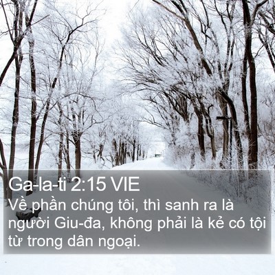 Ga-la-ti 2:15 VIE Bible Verse Image