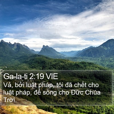 Ga-la-ti 2:19 VIE Bible Verse Image
