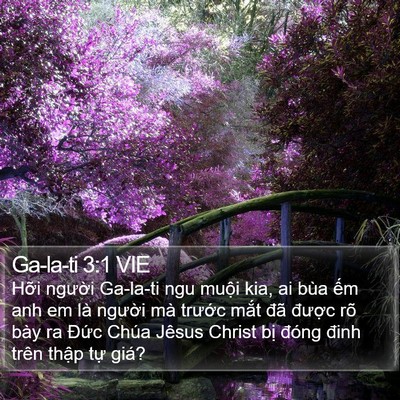 Ga-la-ti 3:1 VIE Bible Verse Image