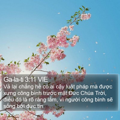 Ga-la-ti 3:11 VIE Bible Verse Image