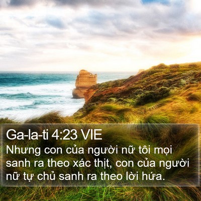Ga-la-ti 4:23 VIE Bible Verse Image