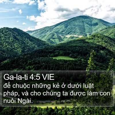 Ga-la-ti 4:5 VIE Bible Verse Image