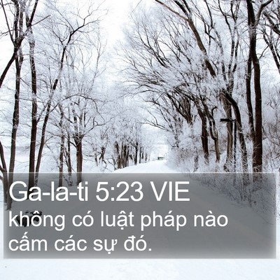Ga-la-ti 5:23 VIE Bible Verse Image