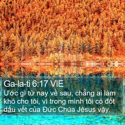 Ga-la-ti 6:17 VIE Bible Verse Image