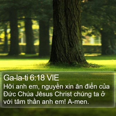 Ga-la-ti 6:18 VIE Bible Verse Image