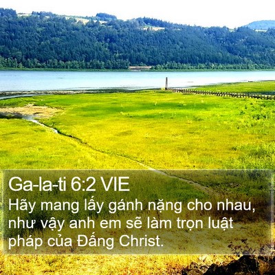 Ga-la-ti 6:2 VIE Bible Verse Image