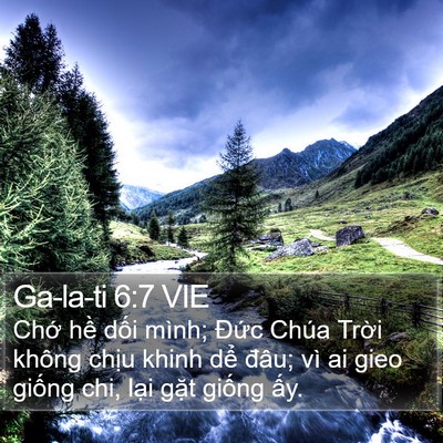 Ga-la-ti 6:7 VIE Bible Verse Image