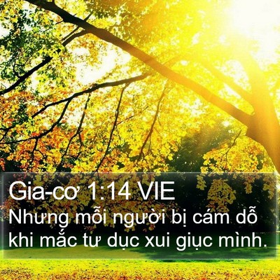 Gia-cơ 1:14 VIE Bible Verse Image