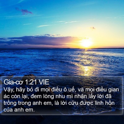 Gia-cơ 1:21 VIE Bible Verse Image
