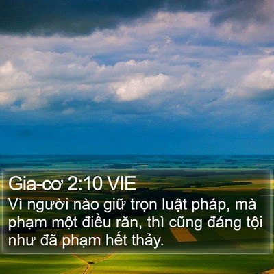 Gia-cơ 2:10 VIE Bible Verse Image