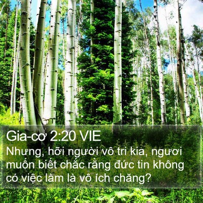 Gia-cơ 2:20 VIE Bible Verse Image