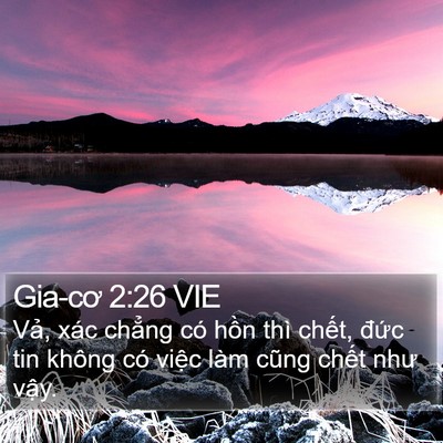 Gia-cơ 2:26 VIE Bible Verse Image