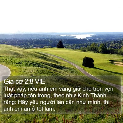 Gia-cơ 2:8 VIE Bible Verse Image