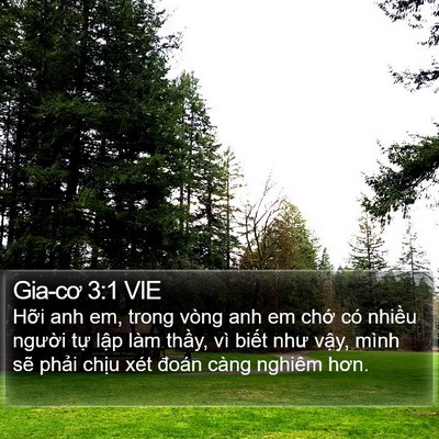 Gia-cơ 3:1 VIE Bible Verse Image