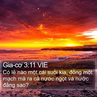Gia-cơ 3:11 VIE Bible Verse Image
