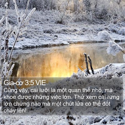 Gia-cơ 3:5 VIE Bible Verse Image