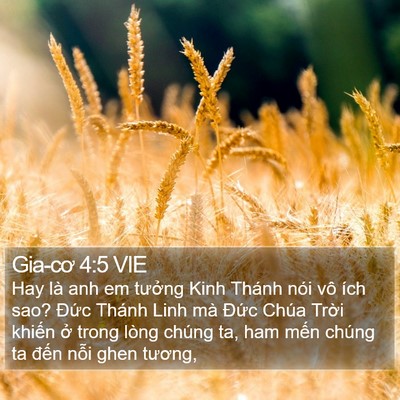 Gia-cơ 4:5 VIE Bible Verse Image