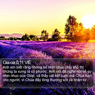 Gia-cơ 5:11 VIE Bible Verse Image