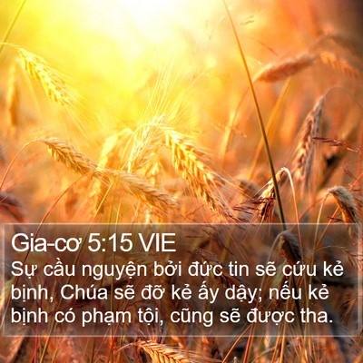 Gia-cơ 5:15 VIE Bible Verse Image