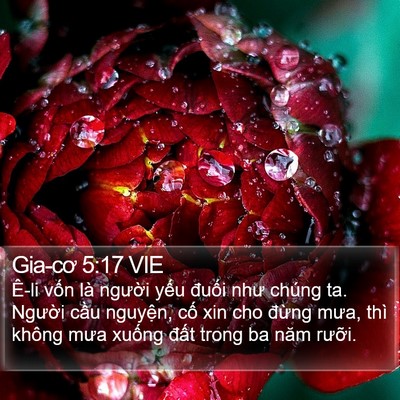 Gia-cơ 5:17 VIE Bible Verse Image