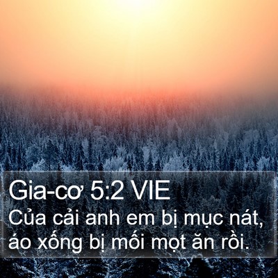 Gia-cơ 5:2 VIE Bible Verse Image