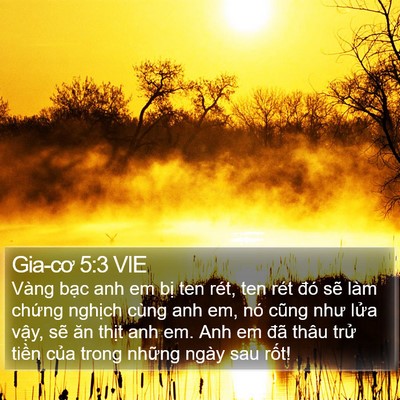 Gia-cơ 5:3 VIE Bible Verse Image