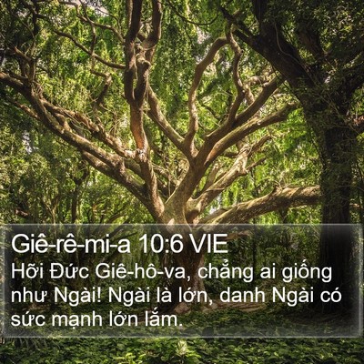 Giê-rê-mi-a 10:6 VIE Bible Verse Image