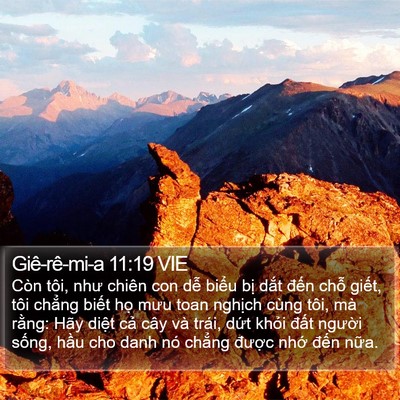 Giê-rê-mi-a 11:19 VIE Bible Verse Image