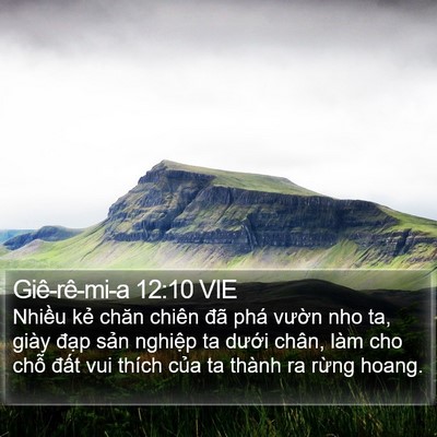 Giê-rê-mi-a 12:10 VIE Bible Verse Image