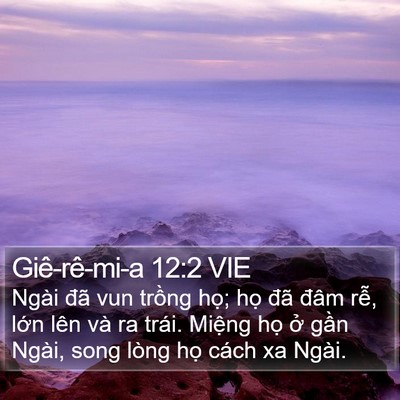 Giê-rê-mi-a 12:2 VIE Bible Verse Image