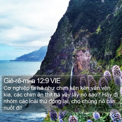 Giê-rê-mi-a 12:9 VIE Bible Verse Image