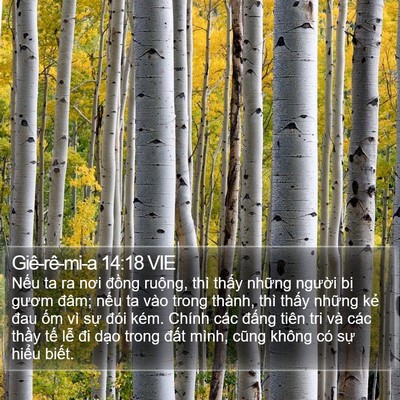 Giê-rê-mi-a 14:18 VIE Bible Verse Image