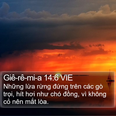 Giê-rê-mi-a 14:6 VIE Bible Verse Image