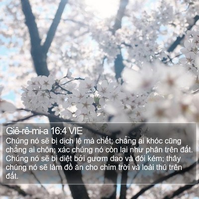 Giê-rê-mi-a 16:4 VIE Bible Verse Image
