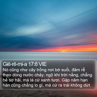 Giê-rê-mi-a 17:8 VIE Bible Verse Image