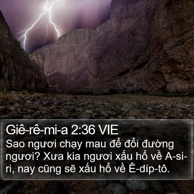 Giê-rê-mi-a 2:36 VIE Bible Verse Image
