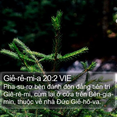 Giê-rê-mi-a 20:2 VIE Bible Verse Image