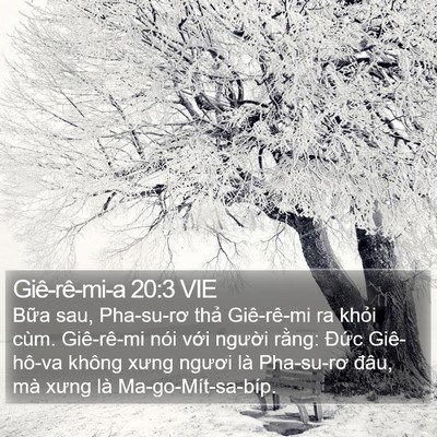 Giê-rê-mi-a 20:3 VIE Bible Verse Image