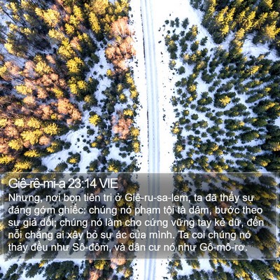 Giê-rê-mi-a 23:14 VIE Bible Verse Image