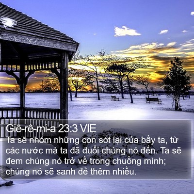 Giê-rê-mi-a 23:3 VIE Bible Verse Image