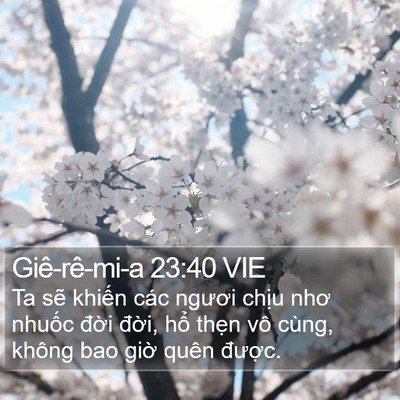 Giê-rê-mi-a 23:40 VIE Bible Verse Image