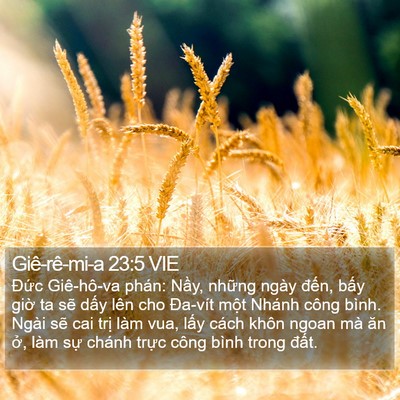 Giê-rê-mi-a 23:5 VIE Bible Verse Image