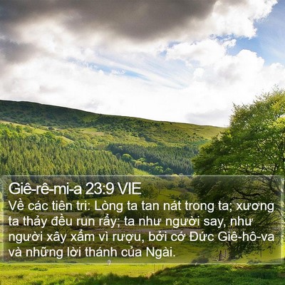 Giê-rê-mi-a 23:9 VIE Bible Verse Image