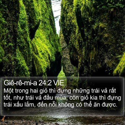 Giê-rê-mi-a 24:2 VIE Bible Verse Image