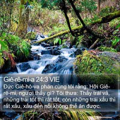Giê-rê-mi-a 24:3 VIE Bible Verse Image
