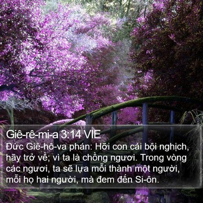 Giê-rê-mi-a 3:14 VIE Bible Verse Image