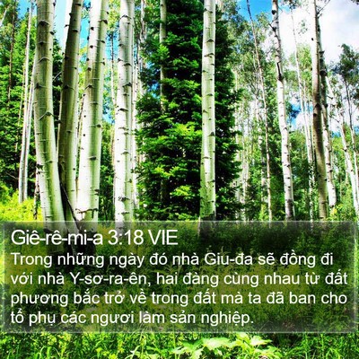 Giê-rê-mi-a 3:18 VIE Bible Verse Image