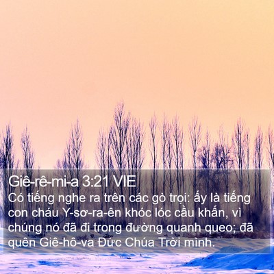 Giê-rê-mi-a 3:21 VIE Bible Verse Image