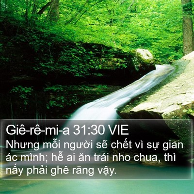 Giê-rê-mi-a 31:30 VIE Bible Verse Image